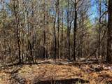 Tract 1 Redman Ridge Lane - Photo 10