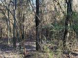 Tract 1 Redman Ridge Lane - Photo 12