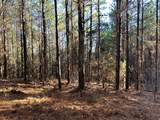 Tract 1 Redman Ridge Lane - Photo 14