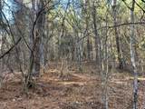 Tract 1 Redman Ridge Lane - Photo 15