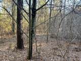 Tract 1 Redman Ridge Lane - Photo 16