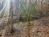 Tract 1 Redman Ridge Lane - Photo 18