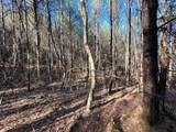 Tract 1 Redman Ridge Lane - Photo 22