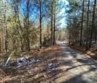 Tract 1 Redman Ridge Lane - Photo 3