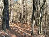 Tract 1 Redman Ridge Lane - Photo 30