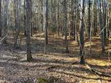 Tract 1 Redman Ridge Lane - Photo 7