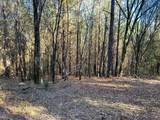 Tract 1 Redman Ridge Lane - Photo 9