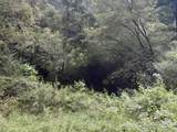 1 Kimsey Dairy Road - Photo 12