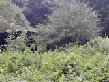 1 Kimsey Dairy Road - Photo 13