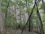 1 Kimsey Dairy Road - Photo 14
