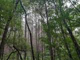 1 Kimsey Dairy Road - Photo 15