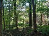 1 Kimsey Dairy Road - Photo 16
