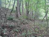 1 Kimsey Dairy Road - Photo 18
