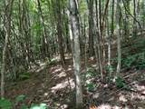 1 Kimsey Dairy Road - Photo 20