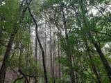 1 Kimsey Dairy Road - Photo 21