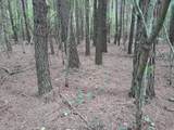 1 Kimsey Dairy Road - Photo 24