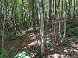 1 Kimsey Dairy Road - Photo 26