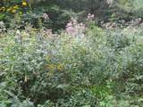 1 Kimsey Dairy Road - Photo 31
