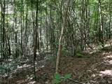 1 Kimsey Dairy Road - Photo 39