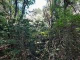1 Kimsey Dairy Road - Photo 40