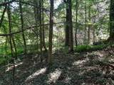 1 Kimsey Dairy Road - Photo 41