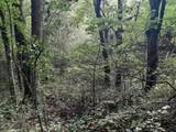 1 Kimsey Dairy Road - Photo 45