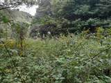 1 Kimsey Dairy Road - Photo 48