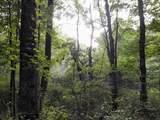 1 Kimsey Dairy Road - Photo 52