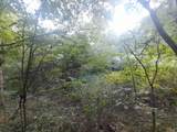 1 Kimsey Dairy Road - Photo 54