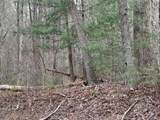 1 Kimsey Dairy Road - Photo 56