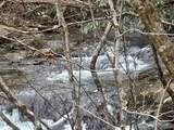 1 Kimsey Dairy Road - Photo 6