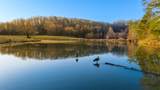 4975 Browntown Road - Photo 4