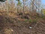 Lot 7 Smyrna Road - Photo 6