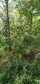 4 Treeline Drive - Photo 6