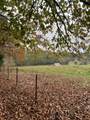 1132 Sneed Rd (Lot 1 & 2) Road - Photo 10