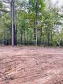 1132 Sneed Rd (Lot 1 & 2) Road - Photo 13