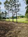 1132 Sneed Rd (Lot 1 & 2) Road - Photo 16