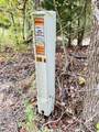1132 Sneed Rd (Lot 1 & 2) Road - Photo 23