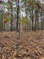1132 Sneed Rd (Lot 1 & 2) Road - Photo 8