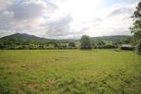 110 Acres Bivens Rd. - Photo 14