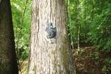 110 Acres Bivens Rd. - Photo 20