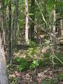 00000 Brayton Mountain Rd - Photo 3