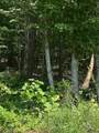00000 Brayton Mountain Rd - Photo 4