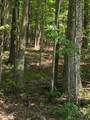 00000 Brayton Mountain Rd - Photo 5