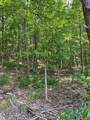 00000 Brayton Mountain Rd - Photo 6