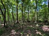 Lot 3 Highway 304 - Photo 42