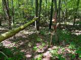 Lot 3 Highway 304 - Photo 43