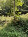 115 Hughes Hollow Road - Photo 2