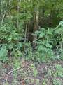 115 Hughes Hollow Road - Photo 8