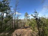 125 Fox Trail Drive - Photo 3